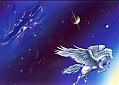 Space 010
